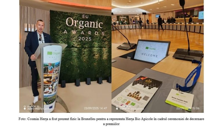 Cum să promovezi afacerea ecologică în 2025