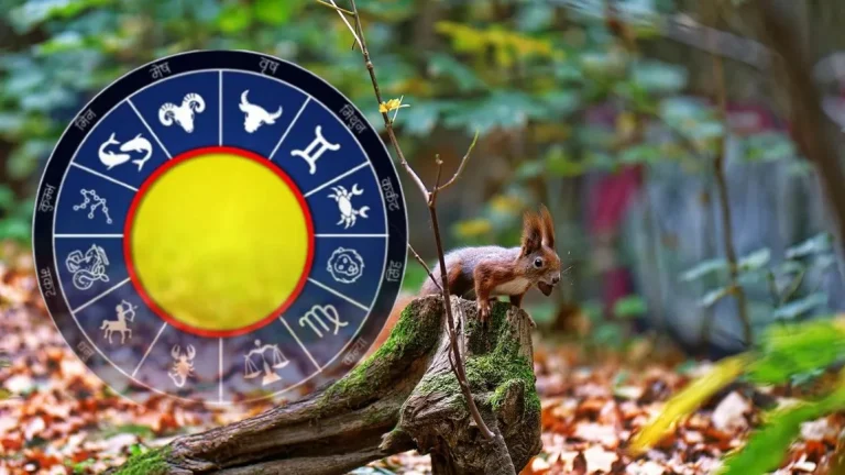 Horoscop 6 Noiembrie 2025: Descoperă ce te așteaptă azi Horoscop 6 Noiembrie 2025 Descoperă ce te așteaptă azi