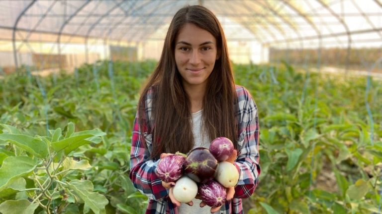 Agricultura sustenabilă. Modele profitabile pentru fermieri în 2026